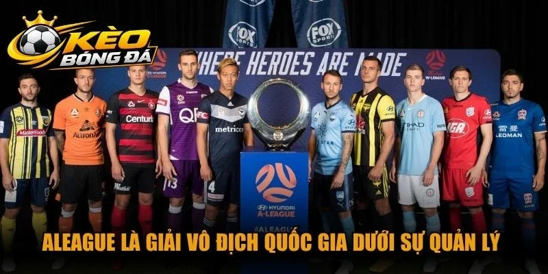ALeague là giải vô địch quốc gia dưới sự quản lý của Liên đoàn bóng đá Australia