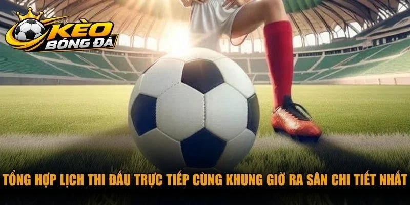 Tổng hợp lịch thi đấu trực tiếp cùng khung giờ ra sân chi tiết nhất