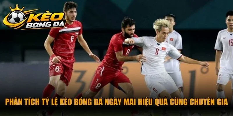 Phân tích tỷ lệ kèo bóng đá ngày mai hiệu quả cùng chuyên gia