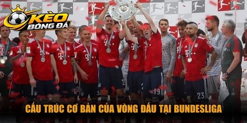 Cấu trúc cơ bản của vòng đấu tại Bundesliga