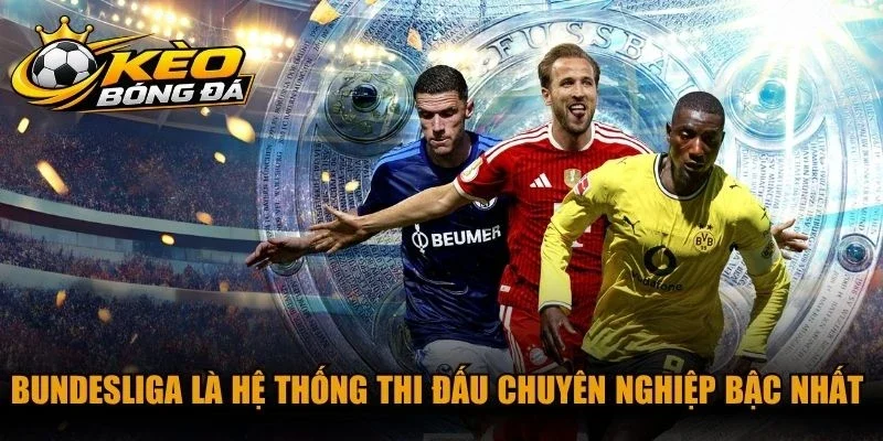 Bundesliga là hệ thống thi đấu chuyên nghiệp bậc nhất bóng đá Đức