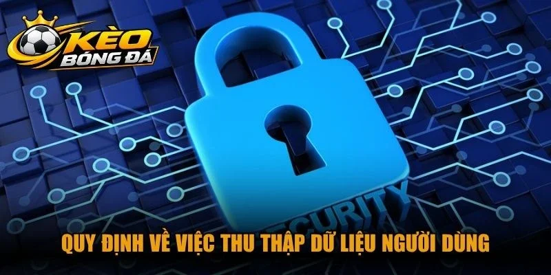 Quy định về việc thu thập dữ liệu người dùng trong chính sách bảo mật