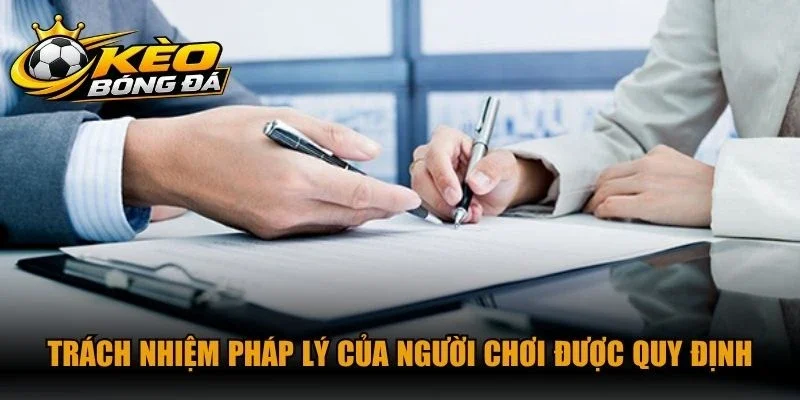 Trách nhiệm pháp lý của người chơi được quy định trong điều khoản điều kiện