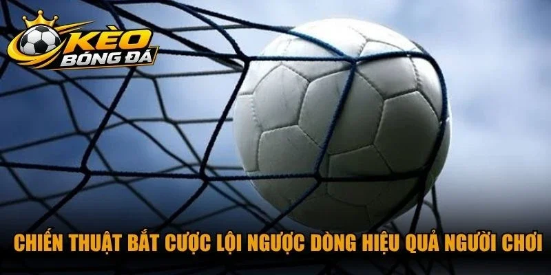  Chiến thuật bắt cược lội ngược dòng hiệu quả người chơi cần biết