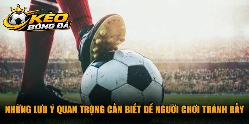 Những lưu ý quan trọng cần biết để người chơi tránh bẫy từ nhà cái