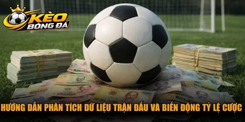 Hướng dẫn phân tích dữ liệu trận đấu và biến động tỷ lệ cược không sai sót