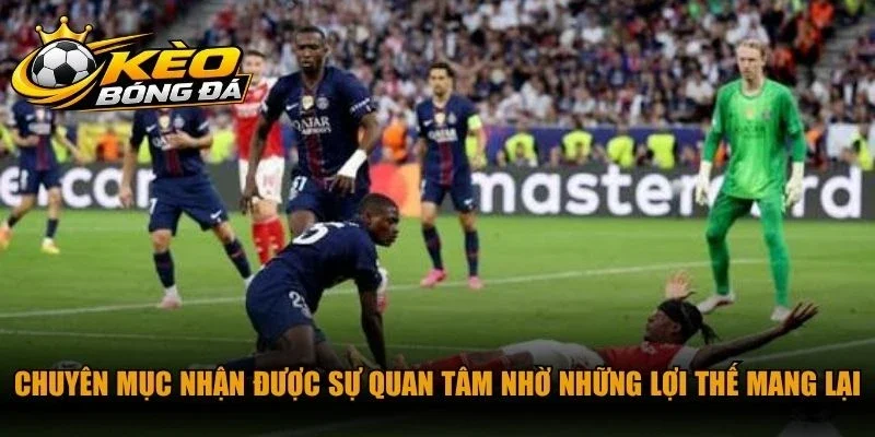 Chuyên mục nhận được sự quan tâm nhờ những lợi thế mang lại