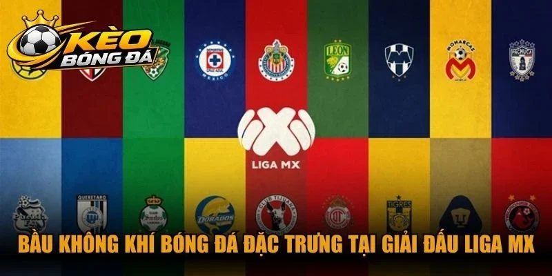 Bầu không khí bóng đá đặc trưng tại giải đấu Liga MX