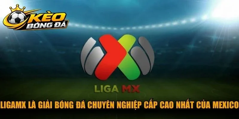 LigaMX là giải bóng đá chuyên nghiệp cấp cao nhất của Mexico