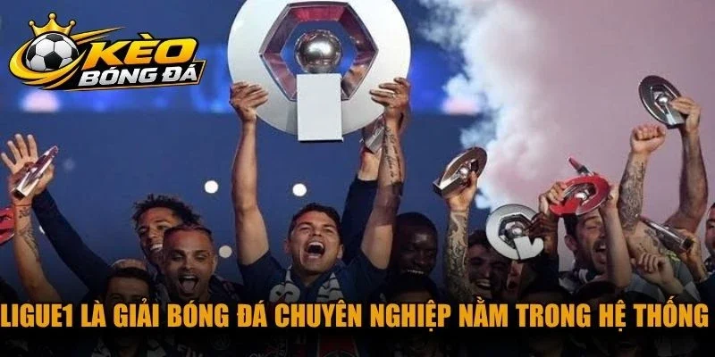 Ligue1 là giải bóng đá chuyên nghiệp nằm trong hệ thống thi đấu quốc gia Pháp