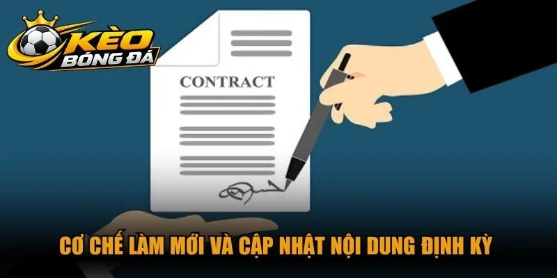 Cơ chế làm mới và cập nhật nội dung định kỳ theo chính sách miễn trừ