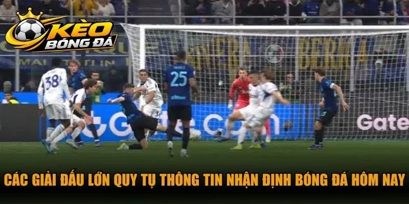 Các giải đấu lớn quy tụ thông tin nhận định bóng đá hôm nay