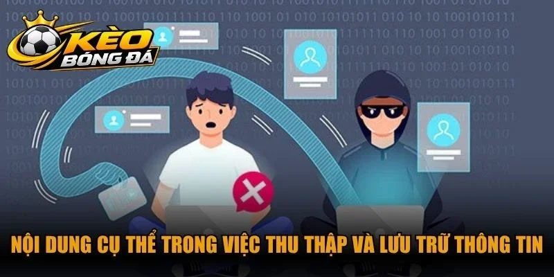 Nội dung cụ thể trong việc thu thập và lưu trữ thông tin