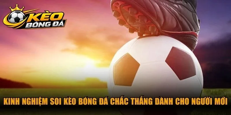 Kinh nghiệm soi kèo bóng đá chắc thắng dành cho người mới