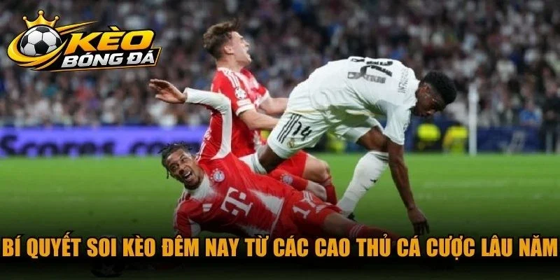 Bí quyết soi kèo đêm nay từ các cao thủ cá cược lâu năm