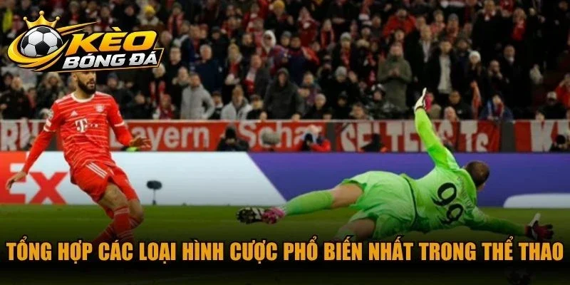 Tổng hợp các loại hình cược phổ biến nhất trong thể thao