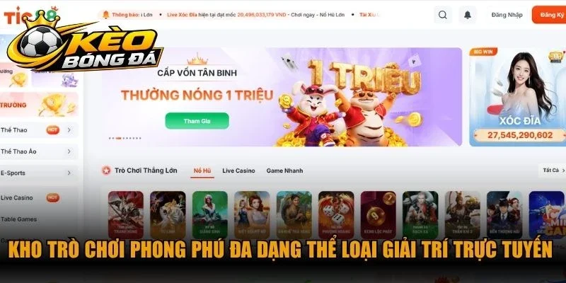 Kho trò chơi phong phú đa dạng thể loại giải trí trực tuyến tại Tic88
