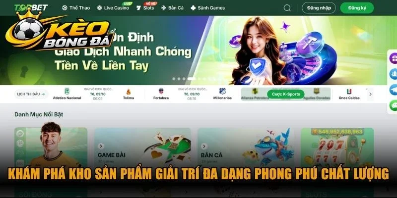 Khám phá kho sản phẩm giải trí đa dạng phong phú chất lượng vượt trội