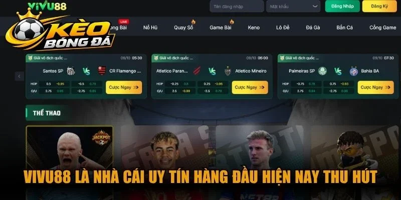 Vivu88 là nhà cái uy tín hàng đầu hiện nay thu hút mọi cược thủ