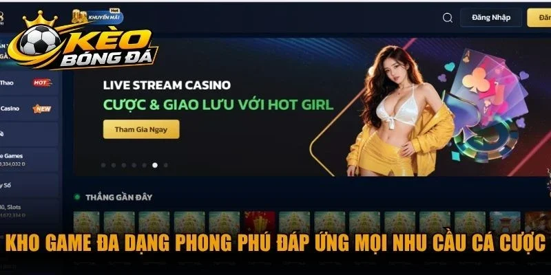 Kho game đa dạng phong phú đáp ứng mọi nhu cầu cá cược tại Zo88